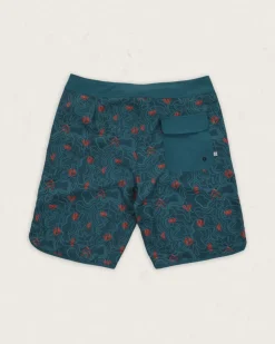 Floris van Bommel Surf Accessories|Surf Accessories><noscript><img width=