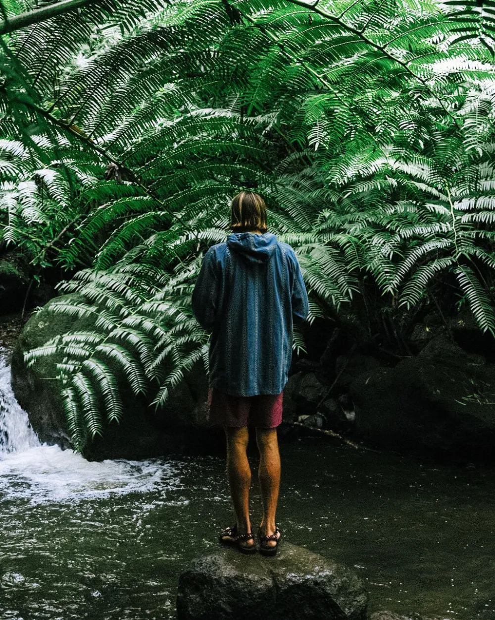 Passenger Men's Outlet|Men's>Dune 1/2 Zip Organic Cotton Hoodie Mediterranean Geo Stripe