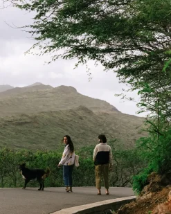 Floris van Bommel Pants|Men's Outlet><noscript><img width=