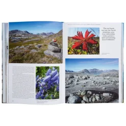Floris van Bommel Books & Magazines|Books & Magazines><noscript><img width=